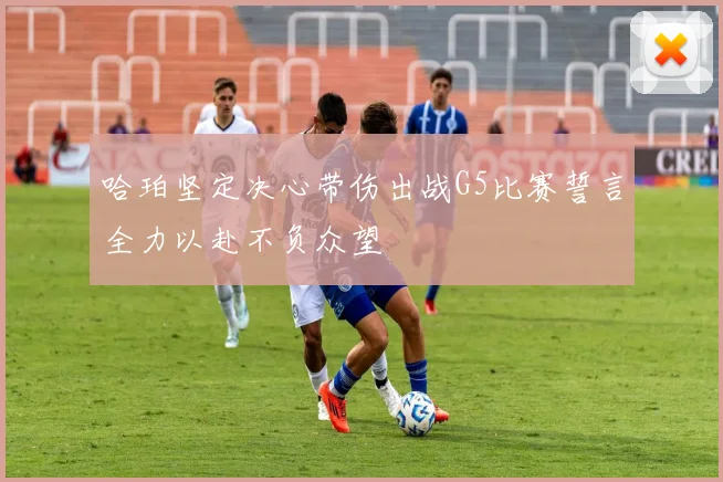 哈珀坚定决心带伤出战G5比赛誓言全力以赴不负众望