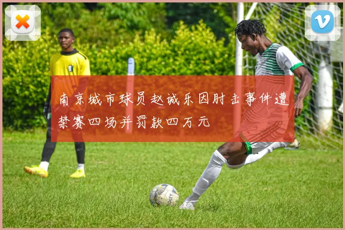 南京城市球员赵诚乐因肘击事件遭禁赛四场并罚款四万元